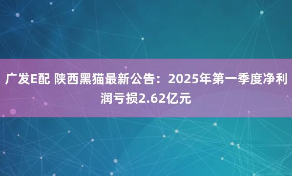 广发E配 陕西黑猫最新公告：2025年第一季度净利润亏损2.62亿元