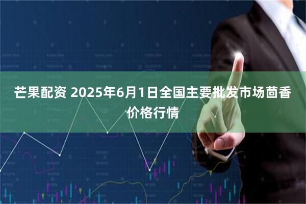 芒果配资 2025年6月1日全国主要批发市场茴香价格行情