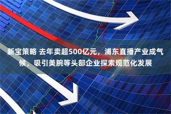 新宝策略 去年卖超500亿元，浦东直播产业成气候，吸引美腕等头部企业探索规范化发展