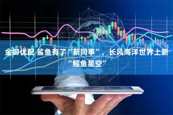 金御优配 鲨鱼有了“新同事”，长风海洋世界上新“鳐鱼星空”