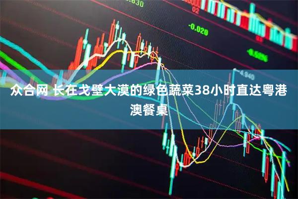 众合网 长在戈壁大漠的绿色蔬菜38小时直达粤港澳餐桌